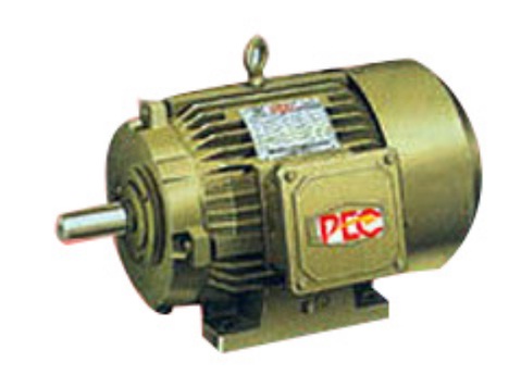 Special purpose motors